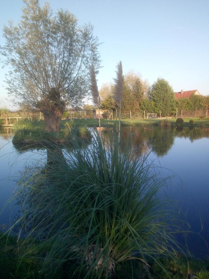 Chambre Coin Nature Fromelles Luaran gambar